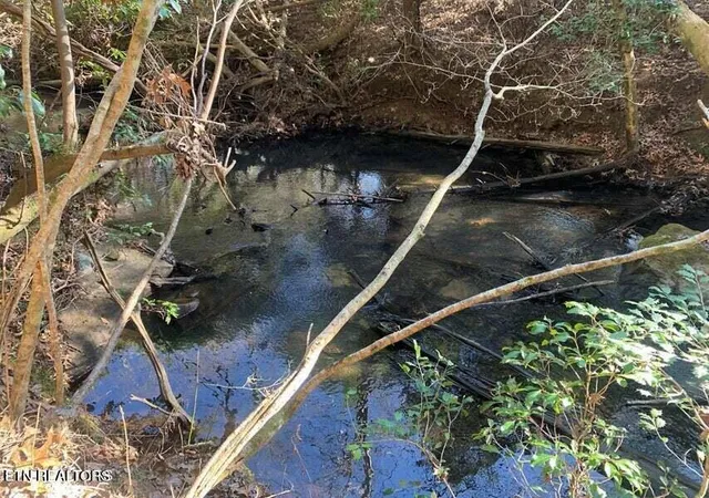 Photo 1 of Land for sale at Tract 2 Lone Wolf Trl Tr, Spencer, TN 38585 | MLS# 1355440 | Listing updated on 2026-09-14