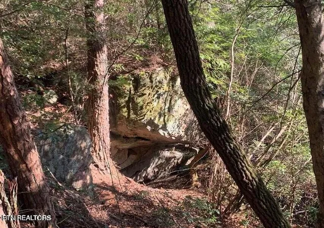 Photo 3 of Land for sale at Tract 2 Lone Wolf Trl Tr, Spencer, TN 38585 | MLS# 1355440 | Listing updated on 2026-09-14