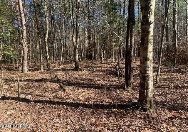 Photo 3 of Land for sale at Tract 2 Lone Wolf Trl Tr, Spencer, TN 38585 | MLS# 1355440 | Listing updated on 2026-09-14