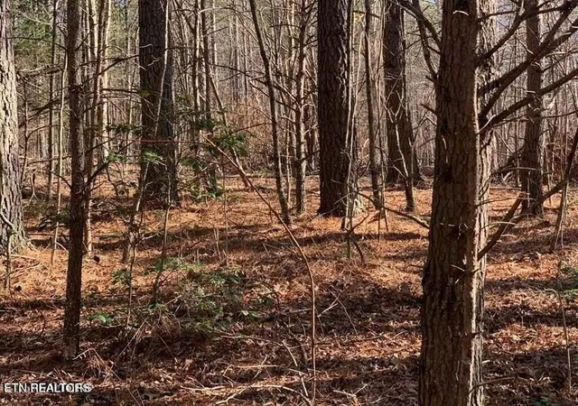 Photo 4 of Land for sale at Tract 2 Lone Wolf Trl Tr, Spencer, TN 38585 | MLS# 1355440 | Listing updated on 2026-09-14