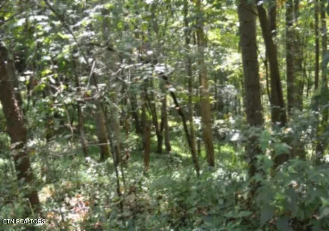 Photo 1 of Land for sale at 2121 Riley Crk Rd, Whitleyville, TN 38588 | MLS# 1355468 | Listing updated on 2026-09-14