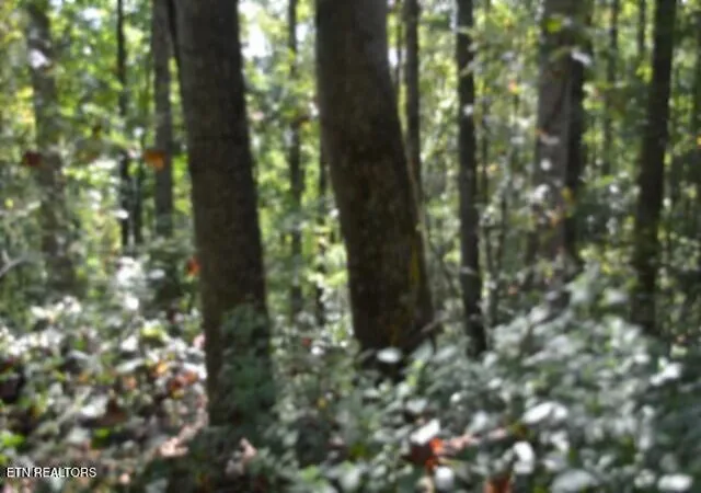 Photo 2 of Land for sale at 2121 Riley Crk Rd, Whitleyville, TN 38588 | MLS# 1355468 | Listing updated on 2026-09-14