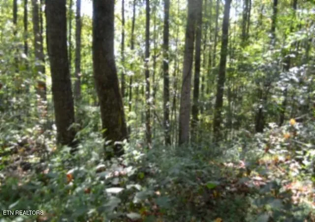 Photo 3 of Land for sale at 2121 Riley Crk Rd, Whitleyville, TN 38588 | MLS# 1355468 | Listing updated on 2026-09-14