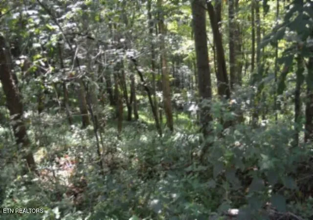 Photo 3 of Land for sale at 2121 Riley Crk Rd, Whitleyville, TN 38588 | MLS# 1355468 | Listing updated on 2026-09-14