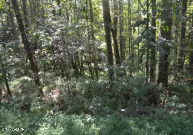 Photo 4 of Land for sale at 2121 Riley Crk Rd, Whitleyville, TN 38588 | MLS# 1355468 | Listing updated on 2026-09-14