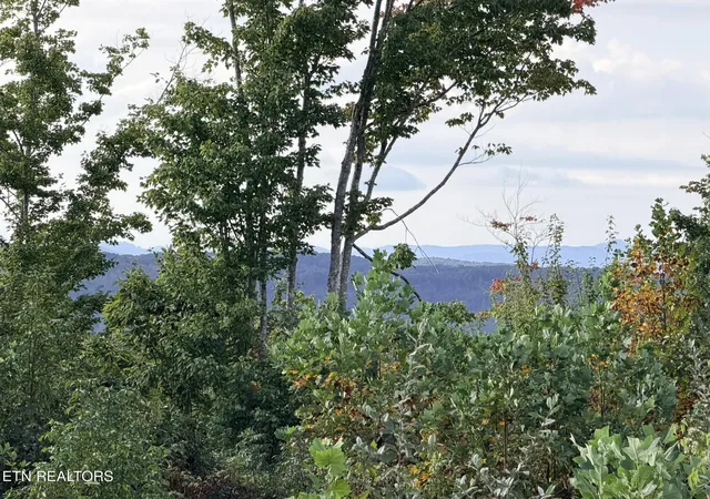 Photo 3 of Land for sale at Elb Private Dr #Lot 2, Huntsville, TN 37756 | MLS# 1355533 | Listing updated on 2026-09-15