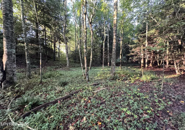 Photo 1 of Land for sale at Davis Rd, Deer Lodge, TN 37726 | MLS# 1355541 | Listing updated on 2026-09-18