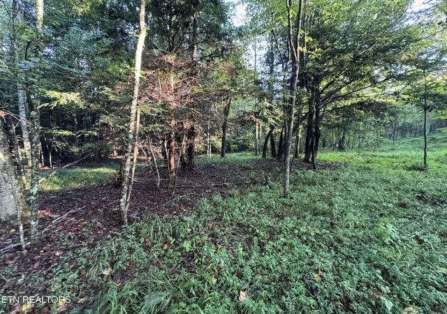 Photo 2 of Land for sale at Davis Rd, Deer Lodge, TN 37726 | MLS# 1355541 | Listing updated on 2026-09-18