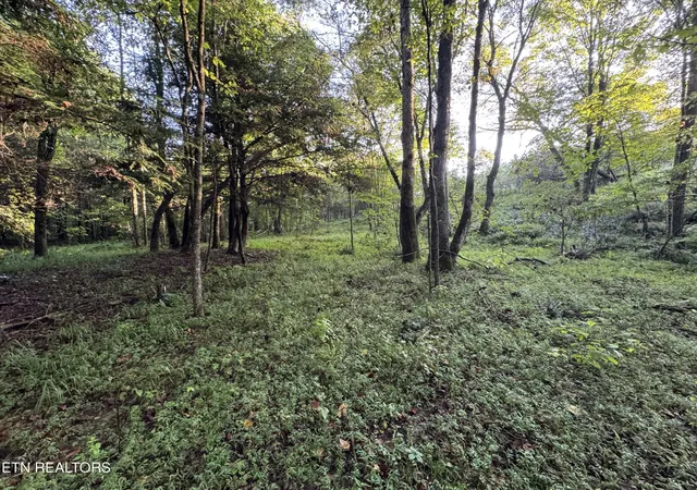 Photo 3 of Land for sale at Davis Rd, Deer Lodge, TN 37726 | MLS# 1355541 | Listing updated on 2026-09-18