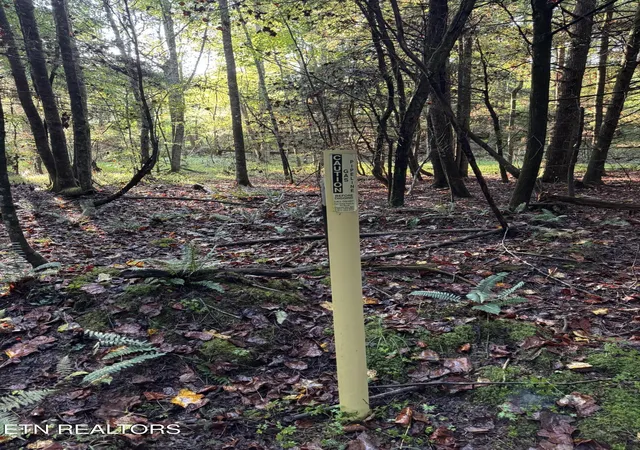 Photo 4 of Land for sale at Davis Rd, Deer Lodge, TN 37726 | MLS# 1355541 | Listing updated on 2026-09-18