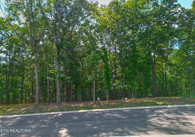 Photo 3 of Land for sale at 215 Flip Flop Way, Loudon, TN 37774 | MLS# 1356035 | Listing updated on 2026-09-18