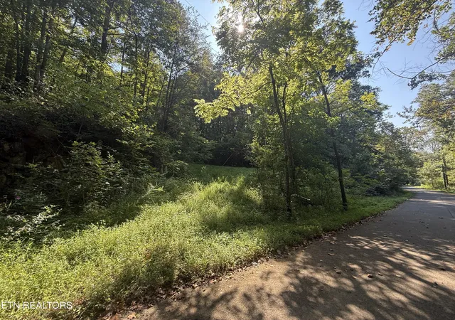 Photo 1 of Land for sale at Community Park Rd, Seymour, TN 37865 | MLS# 1355660 | Listing updated on 2026-09-17