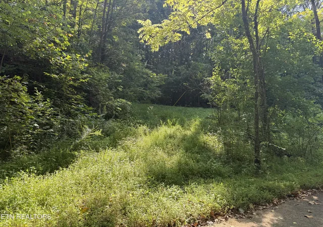 Photo 3 of Land for sale at Community Park Rd, Seymour, TN 37865 | MLS# 1355660 | Listing updated on 2026-09-17