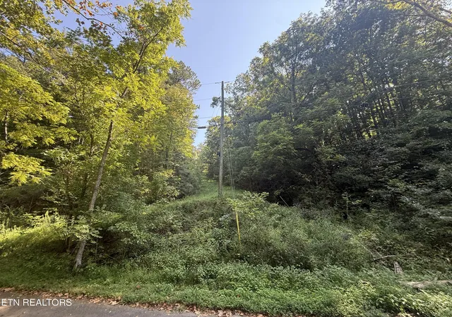 Photo 3 of Land for sale at Community Park Rd, Seymour, TN 37865 | MLS# 1355660 | Listing updated on 2026-09-17