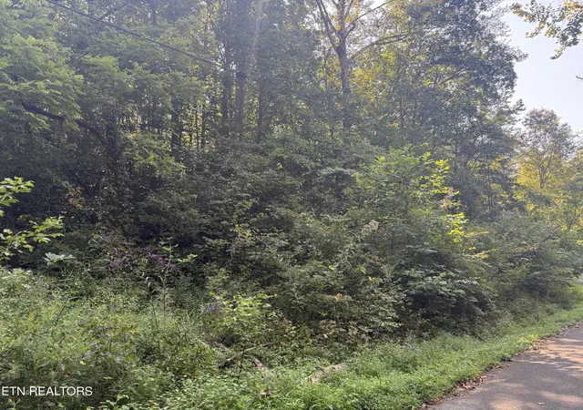 Photo 4 of Land for sale at Community Park Rd, Seymour, TN 37865 | MLS# 1355660 | Listing updated on 2026-09-17