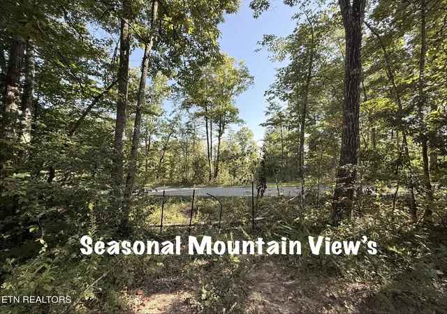 Photo 2 of Land for sale at Lot 1 Big Four Rd, La Follette, TN 37766 | MLS# 1355833 | Listing updated on 2026-09-23