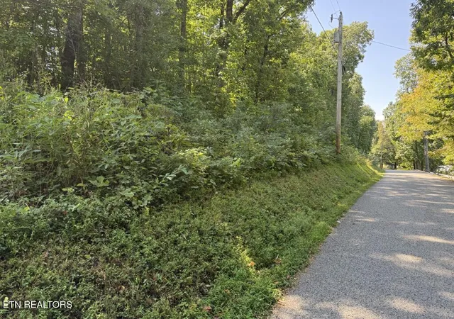 Photo 3 of Land for sale at Powder Ml Ln, La Follette, TN 37766 | MLS# 1355712 | Listing updated on 2026-09-16