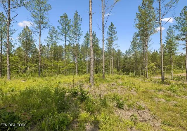 Photo 2 of Land for sale at Sheep Ranch Rd #24, Robbins, TN 37852 | MLS# 1355919 | Listing updated on 2026-09-20