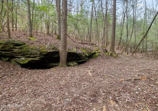 Photo 3 of Land for sale at Sheep Ranch Rd #24, Robbins, TN 37852 | MLS# 1355919 | Listing updated on 2026-09-20