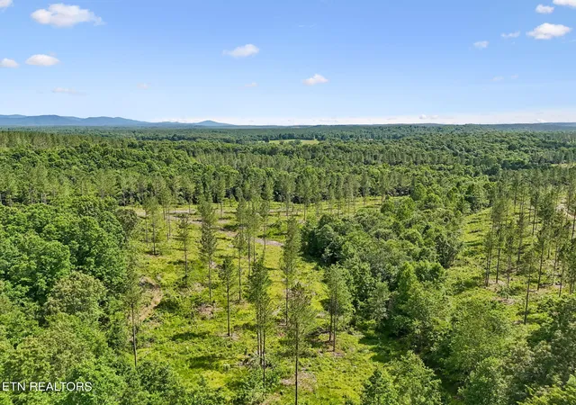 Photo 4 of Land for sale at Sheep Ranch Rd #24, Robbins, TN 37852 | MLS# 1355919 | Listing updated on 2026-09-20