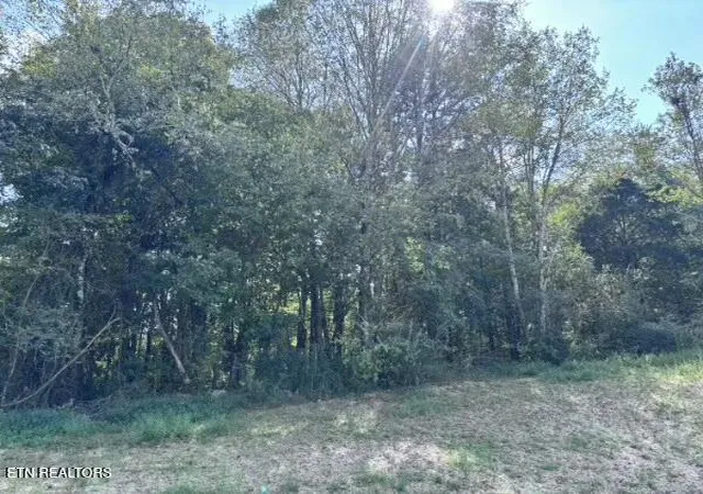 Land for sale at Decatur Pike, Athens, TN 37303 | MLS# 1355927