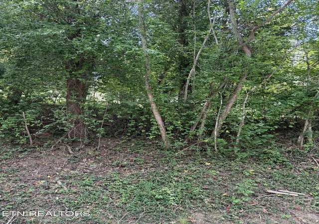 Photo 2 of Land for sale at 9478 Old Hwy 28, Pikeville, TN 37367 | MLS# 1355819 | Listing updated on 2026-09-17