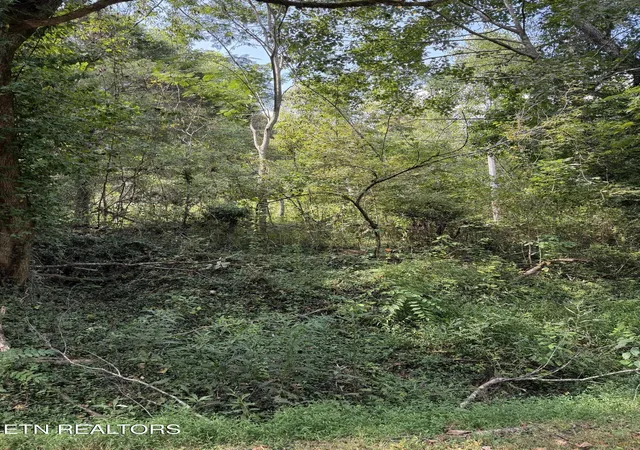 Photo 3 of Land for sale at 9478 Old Hwy 28, Pikeville, TN 37367 | MLS# 1355819 | Listing updated on 2026-09-17