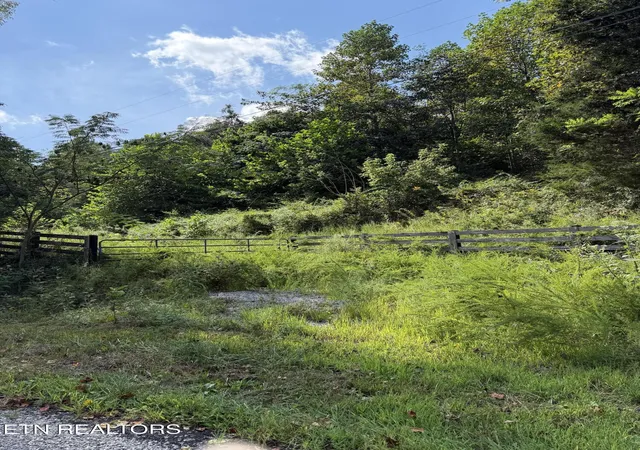 Photo 3 of Land for sale at 9478 Old Hwy 28, Pikeville, TN 37367 | MLS# 1355819 | Listing updated on 2026-09-17