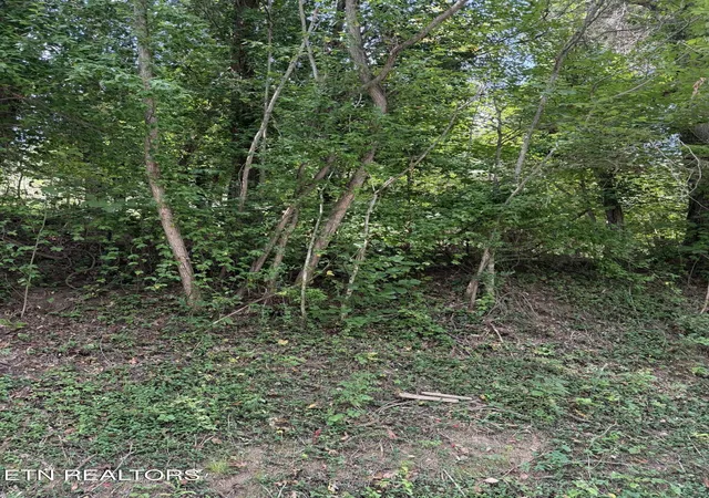 Photo 4 of Land for sale at 9478 Old Hwy 28, Pikeville, TN 37367 | MLS# 1355819 | Listing updated on 2026-09-17