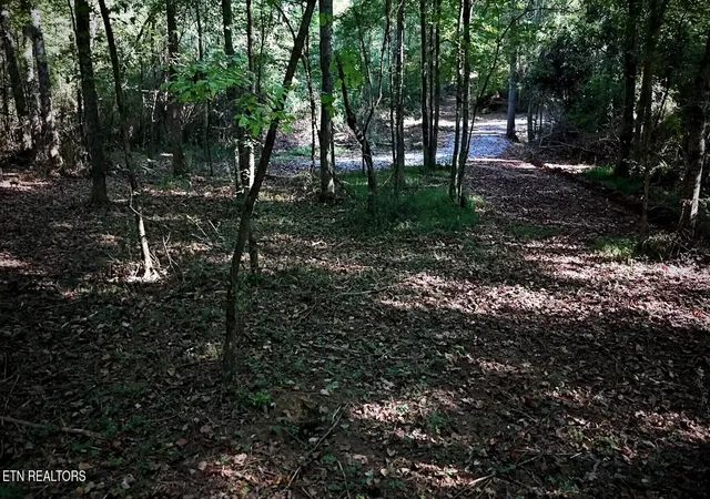 Photo 4 of Land for sale at Lot 45 Old Mine Rd, Sweetwater, TN 37874 | MLS# 1355843 | Listing updated on 2026-09-17