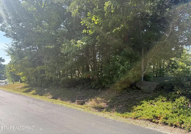 Photo 3 of Land for sale at 434 Igoti Ln, Loudon, TN 37774 | MLS# 1355866 | Listing updated on 2026-09-17