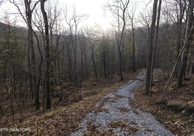 Photo 3 of Land for sale at Old US Hwy 27 Mtn View Rd, Robbins, TN 37852 | MLS# 1355873 | Listing updated on 2026-09-17