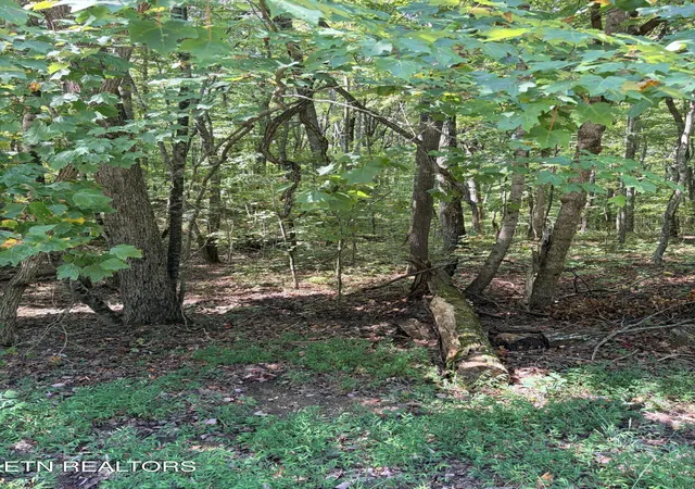 Photo 2 of Land for sale at Cowpens Dr, Monterey, TN 38574 | MLS# 1355862 | Listing updated on 2026-09-17