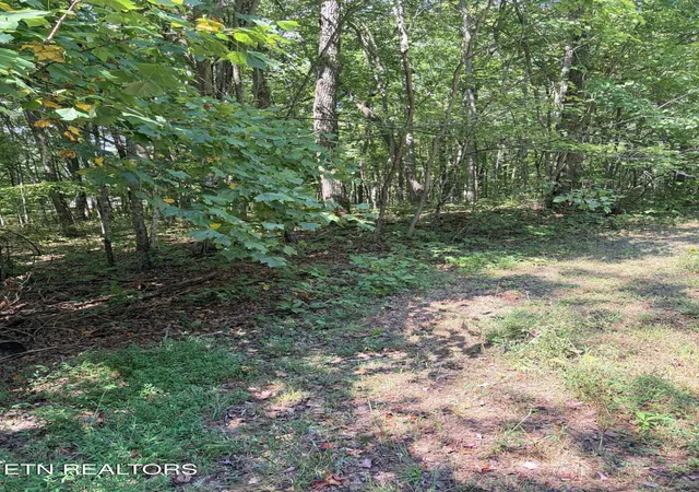 Photo 3 of Land for sale at Cowpens Dr, Monterey, TN 38574 | MLS# 1355862 | Listing updated on 2026-09-17