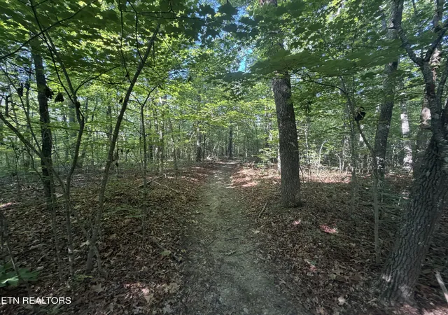 Photo 2 of Land for sale at 0 Muddy Branch Rd, Crossville, TN 38571 | MLS# 1355903 | Listing updated on 2026-09-18
