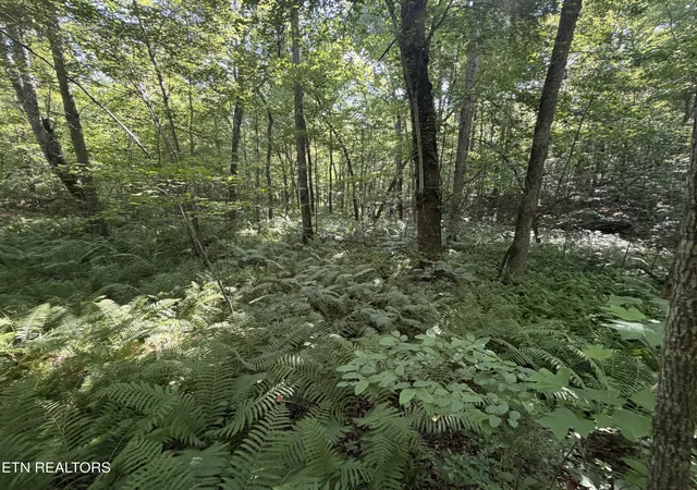 Photo 3 of Land for sale at 0 Muddy Branch Rd, Crossville, TN 38571 | MLS# 1355903 | Listing updated on 2026-09-18