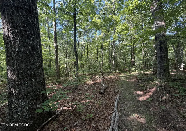 Photo 3 of Land for sale at 0 Muddy Branch Rd, Crossville, TN 38571 | MLS# 1355903 | Listing updated on 2026-09-18