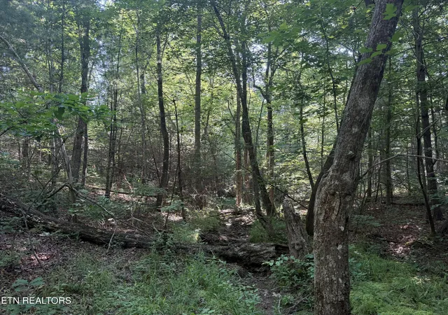 Photo 4 of Land for sale at 0 Muddy Branch Rd, Crossville, TN 38571 | MLS# 1355903 | Listing updated on 2026-09-18