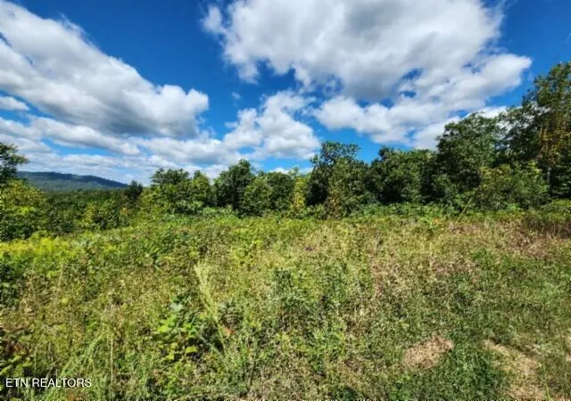 Photo 2 of Land for sale at Lot 72 Tomahawk Rd, Jamestown, TN 38556 | MLS# 1356010 | Listing updated on 2026-09-18