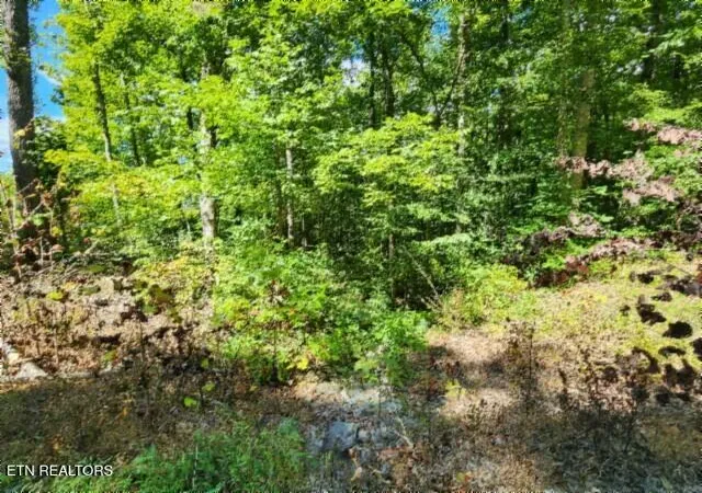 Photo 3 of Land for sale at Lot 72 Tomahawk Rd, Jamestown, TN 38556 | MLS# 1356010 | Listing updated on 2026-09-18