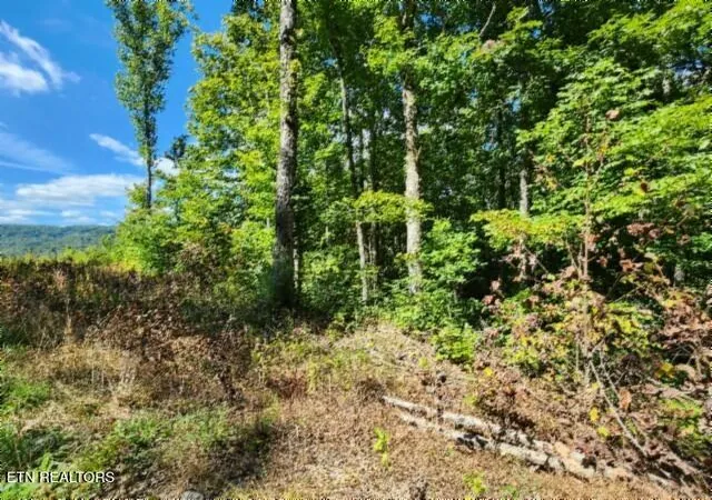 Photo 4 of Land for sale at Lot 72 Tomahawk Rd, Jamestown, TN 38556 | MLS# 1356010 | Listing updated on 2026-09-18