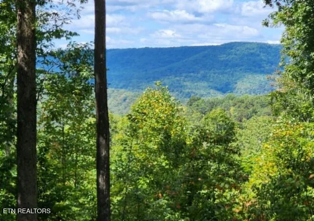 Photo 1 of Land for sale at Lot 73 Tomahawk Rd, Jamestown, TN 38556 | MLS# 1356022 | Listing updated on 2026-09-18