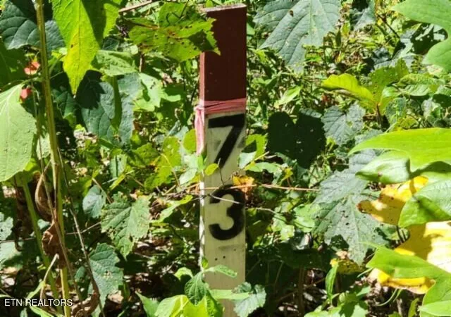 Photo 2 of Land for sale at Lot 73 Tomahawk Rd, Jamestown, TN 38556 | MLS# 1356022 | Listing updated on 2026-09-18