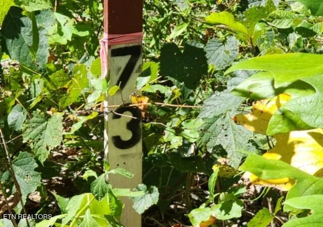 Photo 3 of Land for sale at Lot 73 Tomahawk Rd, Jamestown, TN 38556 | MLS# 1356022 | Listing updated on 2026-09-18