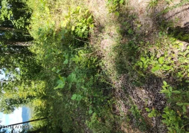 Photo 4 of Land for sale at Lot 73 Tomahawk Rd, Jamestown, TN 38556 | MLS# 1356022 | Listing updated on 2026-09-18