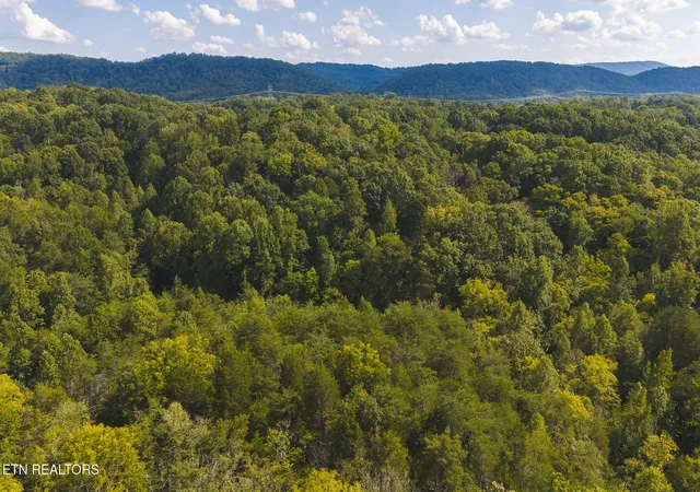 Photo 3 of Land for sale at 80 Acres Rocky Holw Rd, Rogersville, TN 37857 | MLS# 1356113 | Listing updated on 2026-09-19
