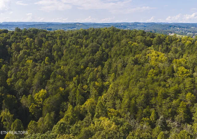 Photo 4 of Land for sale at 80 Acres Rocky Holw Rd, Rogersville, TN 37857 | MLS# 1356113 | Listing updated on 2026-09-19