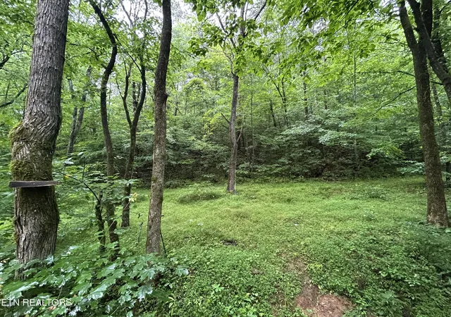 Photo 4 of Single family home for sale at 524 Barger Holw Rd, Parrottsville, TN 37843 | MLS# 1356111 | Listing updated on 2026-10-06
