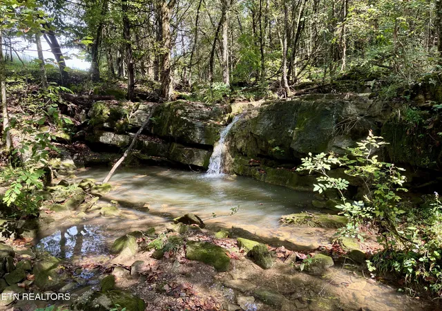 Photo 2 of Sale Pending at 00 Cantwell Valley Rd, Sneedville, TN 37869 | MLS# 1356146 | Listing updated on 2026-10-08