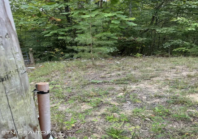 Photo 1 of Land for sale at Wildcat Rd, Jamestown, TN 38556 | MLS# 1356125 | Listing updated on 2026-09-19